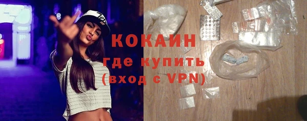 спайс Гусев
