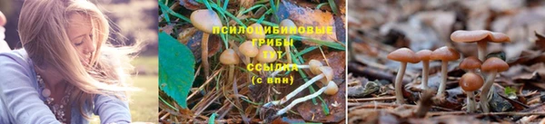 таблы Кулебаки
