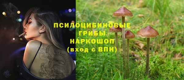меф Гусиноозёрск