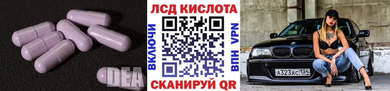 как найти закладки  Елизово  Лсд 25 экстази ecstasy 