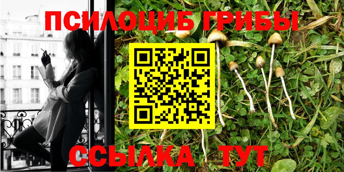 Елизово  Псилоцибиновые грибы ЛСД  Вход с VPN 