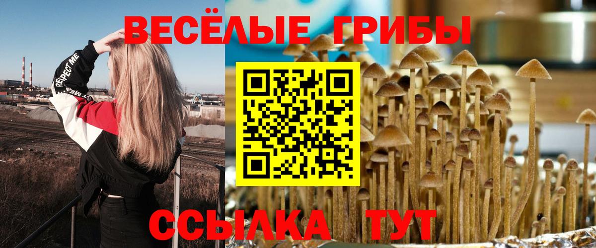 Псилоцибиновые грибы мухоморы Елизово