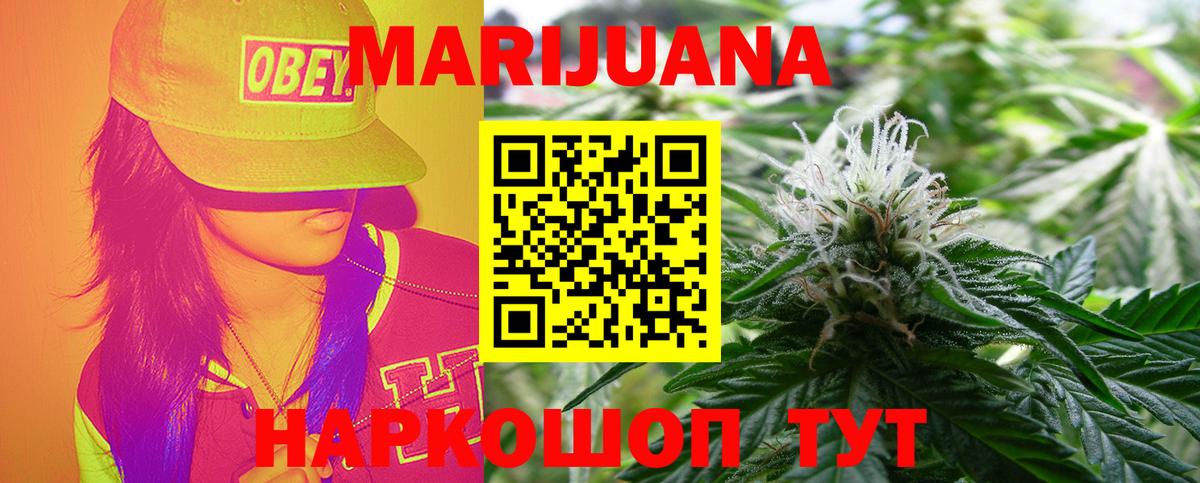 Канабис конопля  Елизово  Конопля Bruce Banner  Бошки марихуана гибрид 