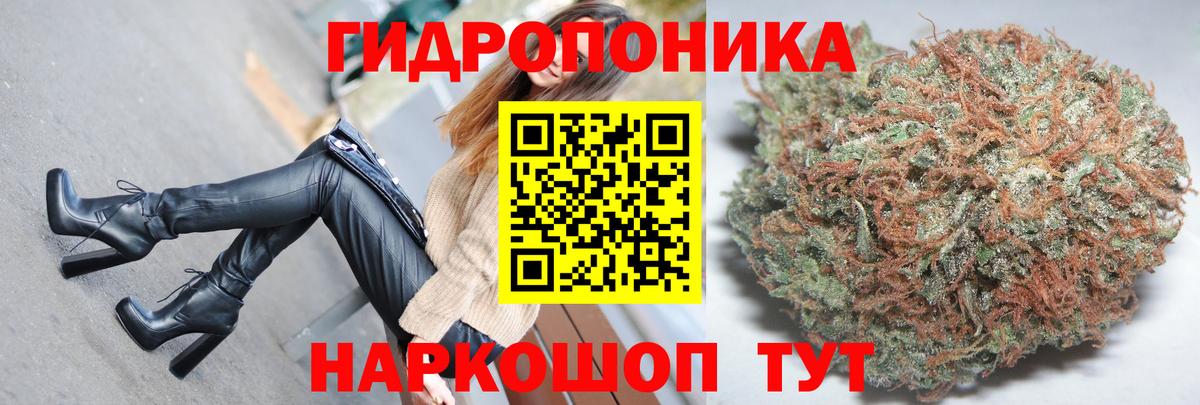 Конопля LSD WEED Елизово