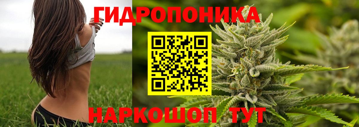 Елизово  Канабис THC 21%  Каннабис VHQ  Марихуана индика  Вход с VPN 